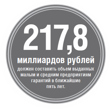217,8 миллиардов рублей должен составить объем выданных малым и средним предприятиям гарантий в ближайшие пять лет