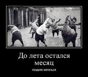 Демотиватор «До лета остался месяц поздняк метаться»