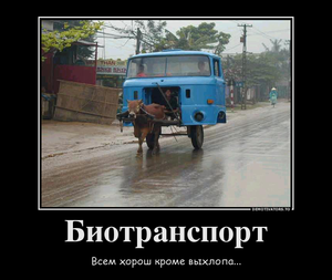 Биотранспорт