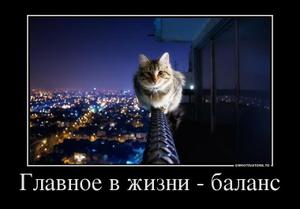 Главное в жизни - баланс