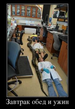 Завтрак обед и ужин