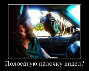 Полосатую палочку видел?