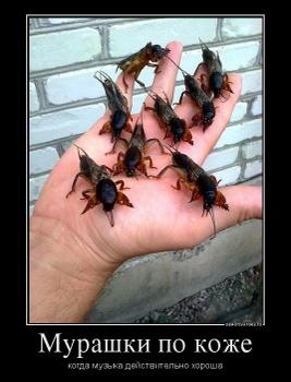 Мурашки по коже