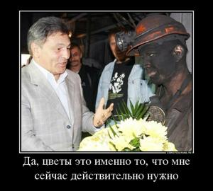 Да, цветы это именно то, что мне сейчас действительно нужно