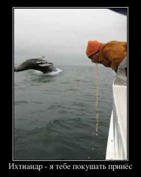 Ихтиандр - я тебе покушать принёс