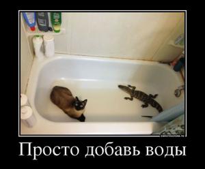 Просто добавь воды