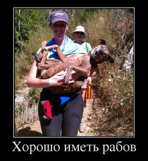 Хорошо иметь рабов