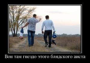 Вон там гнездо этого блядского аиста