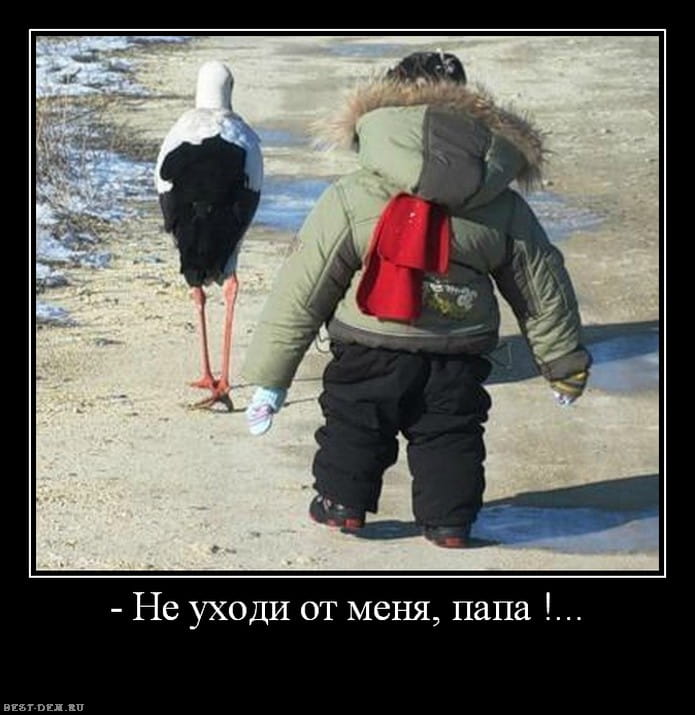 Максимальный ежемесячный размер пособия по уходу за ребенком