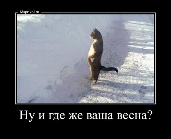 Как рассчитать отпуск в мае?