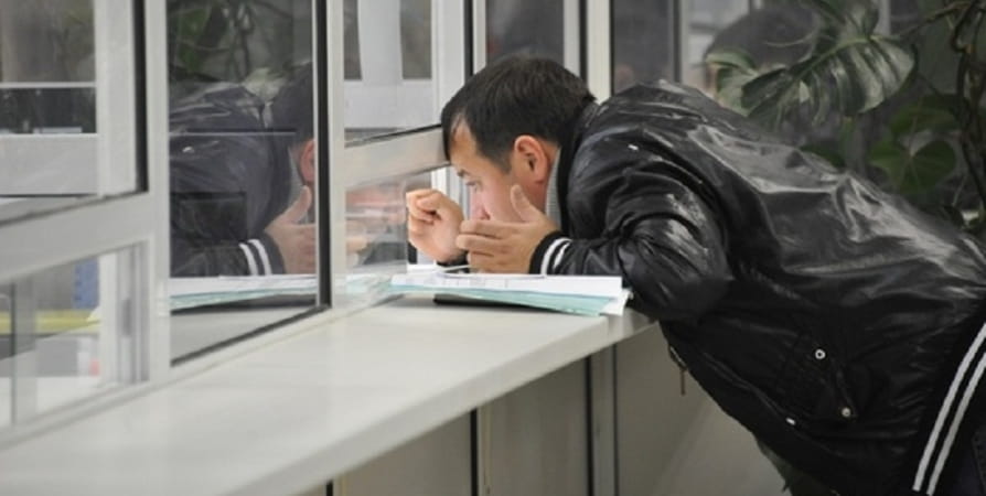 Декларации в одном окне