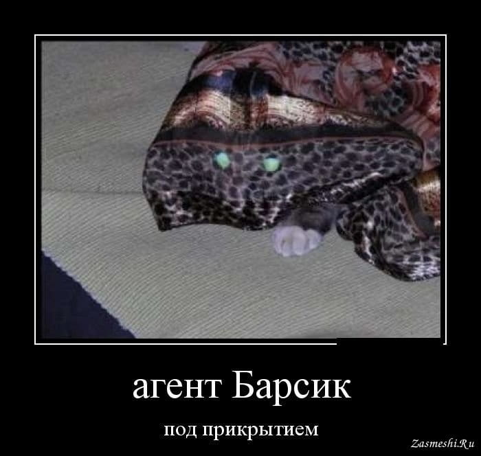 Кто такой зависимый агент?