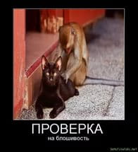 Как себя вести при налоговой проверке?