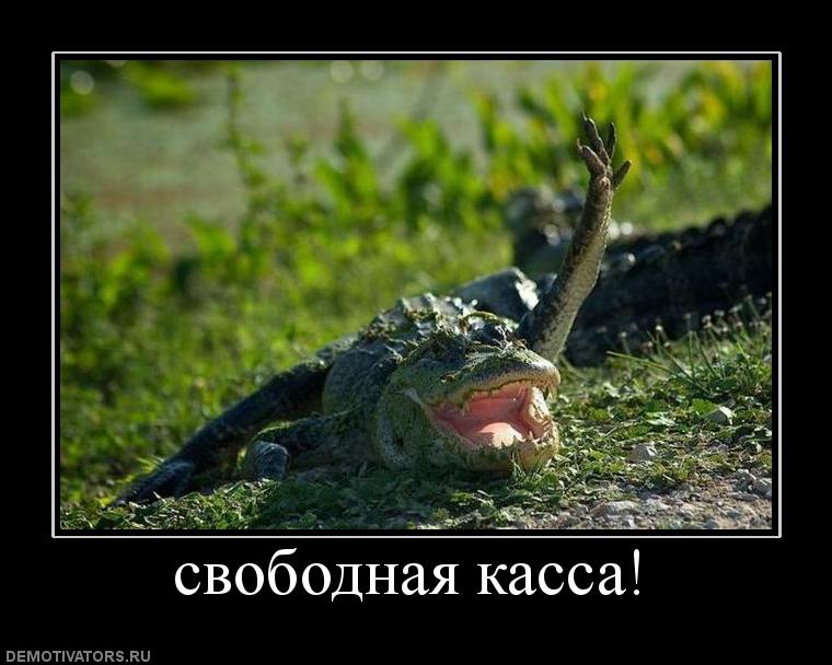 Какую информацию нужно направлять через личный кабинет ККТ?