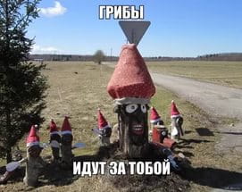 НДС на грибы и ягоды