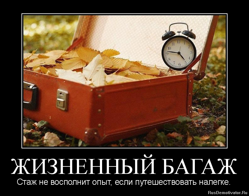 Когда учеба засчитывается в стаж?