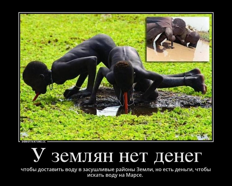 Освобождение самозанятых от отчетности