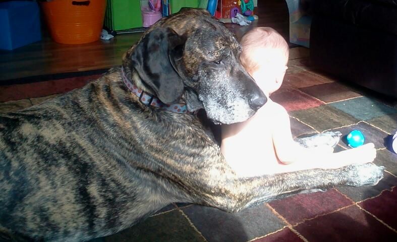 Изменения о труде домохозяек